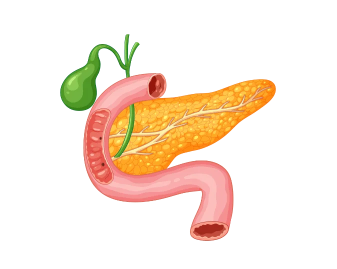 Dr Harald Puhalla | General Surgeon | Gold Coast